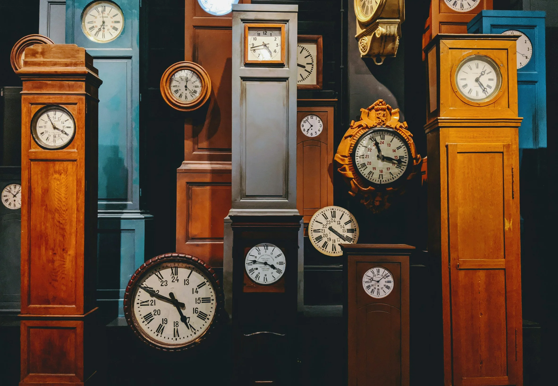 lucian-alexe-f2xfTOv0p9Y-unsplash
