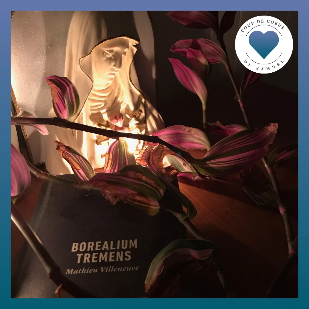 Mathieu Villeneuve (2017) Borealium Tremens Mathieu Villeneuve (2017) Borealium Tremens