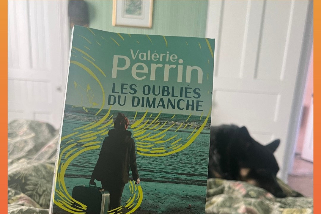 Les Oubliés Du Dimanche (2017) Valérie Perrin (3x2)