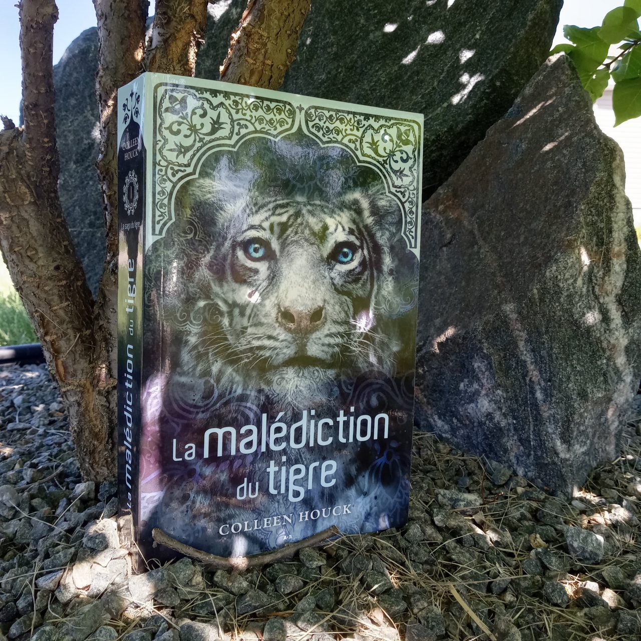 La Malédiction Du Tigre, Colleen Houck