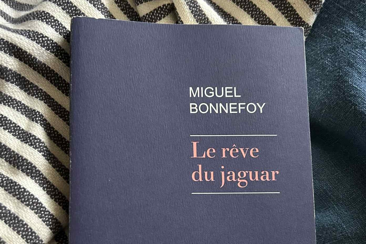 Le Rêve Du Jaguar, Miguel Bonnefoy (3x2)