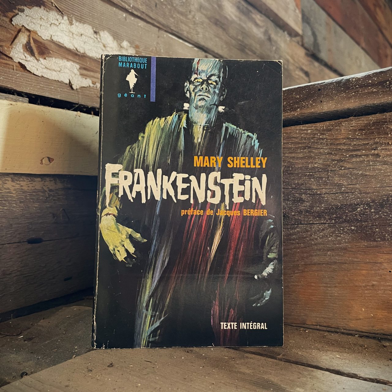 Frankenstein, Mary Shelley Frankenstein, Mary Shelley