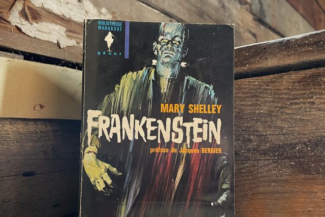 Frankenstein, Mary Shelley (3x2)