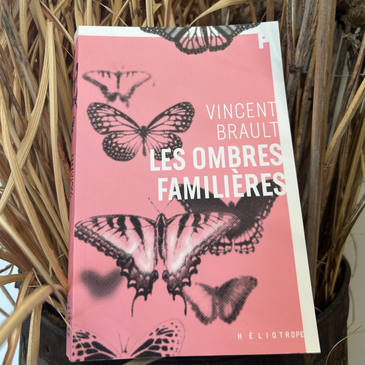 Les Ombres Familières, Vincent Brault Les Ombres Familières, Vincent Brault