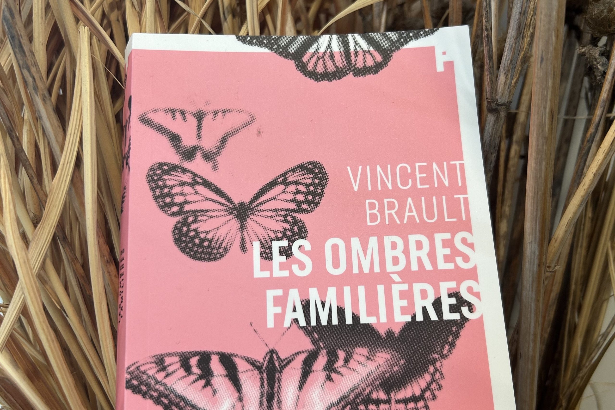 Les Ombres Familières, Vincent Brault (3x2)