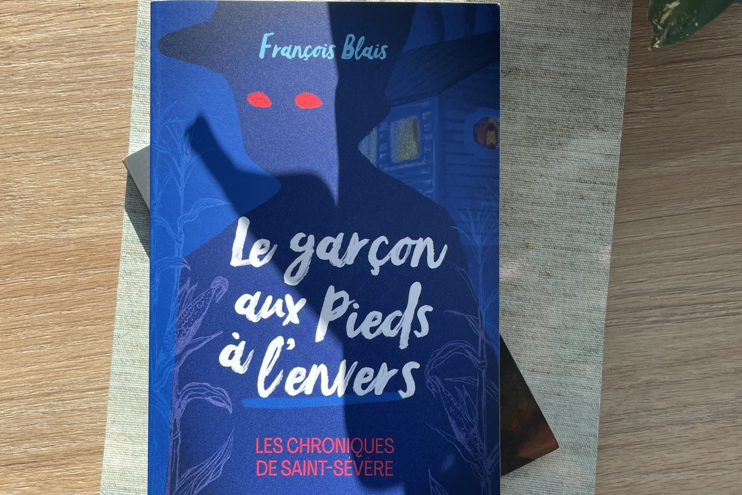 Le Garçon Aux Pieds à L'envers, François Blais (3x2)